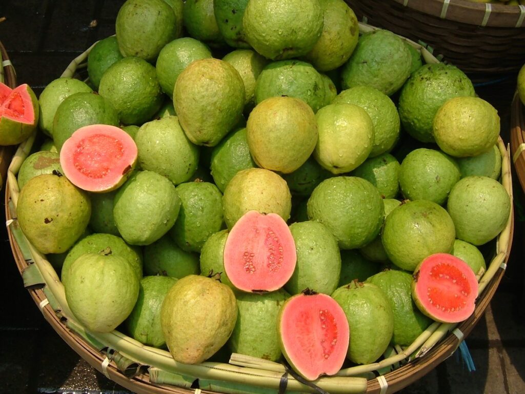 Guava fruits in a basket