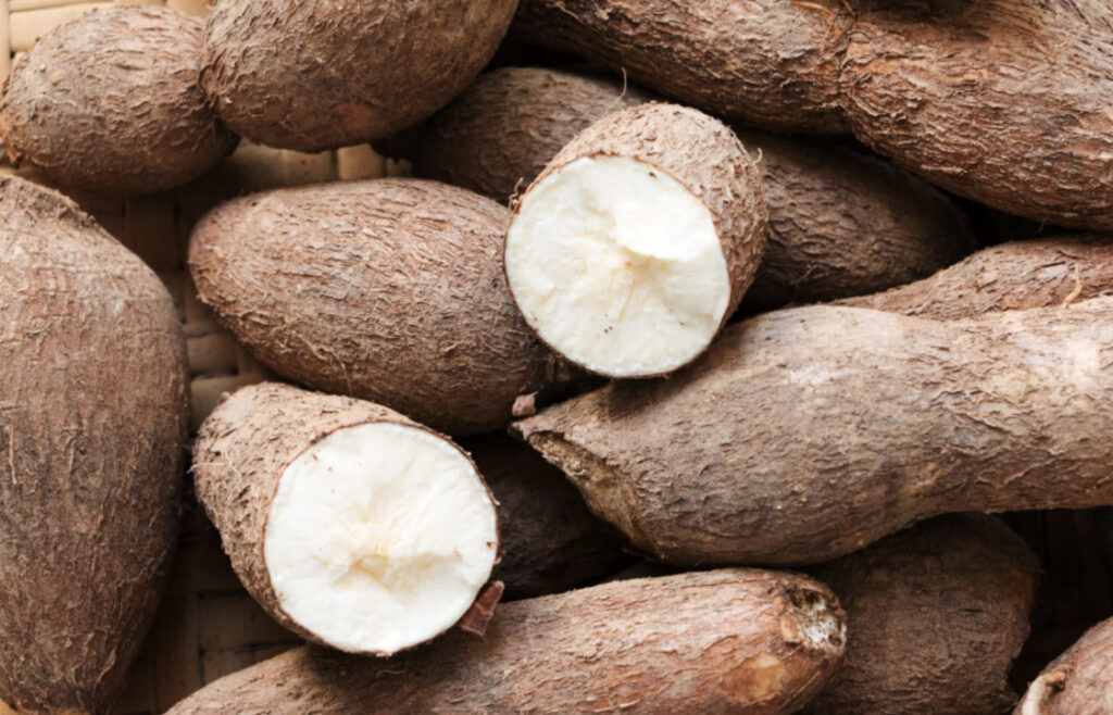 Cassava root vegetables in a pile