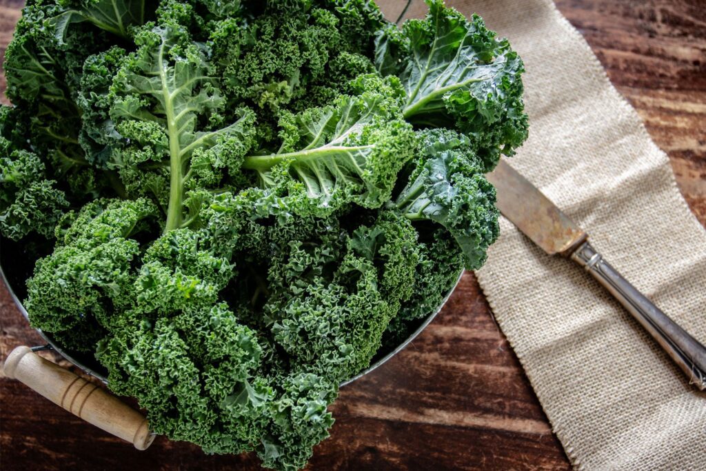 Kale in a bowl