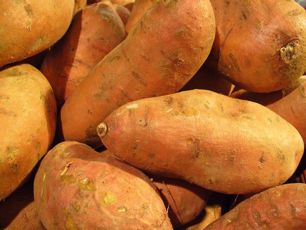 Pile of sweet potatoes