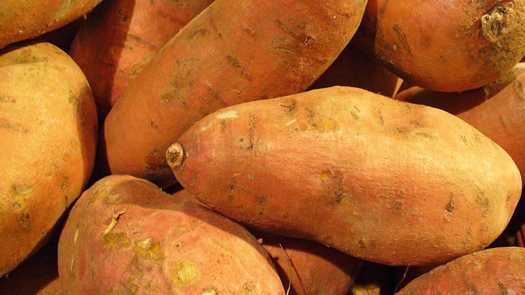 Pile of sweet potatoes