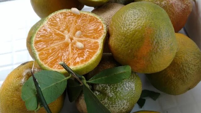 Pile of mandarin lime, one cut open